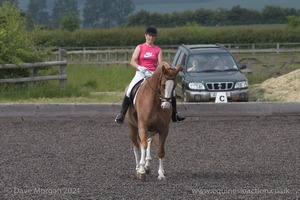 ISIS Dressage Challenge 2008